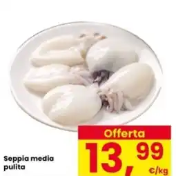 Interspar Seppia media pulita offerta