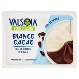 Spazio Conad GELATO 100% VEGETALE VALSOIA offerta
