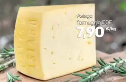 Iper Tosano Asiago formaggio DOP offerta