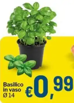 Qui Discount Basilico in vaso Ø 14 offerta