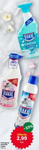 Interspar Detergente Viakal offerta