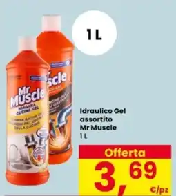 Interspar Idraulico Idraulico Gel assortito Mr Muscle offerta