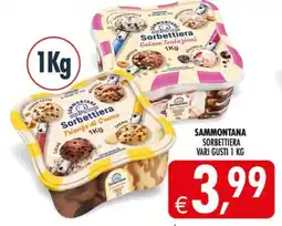 Deco Supermercati Sammontana sorbettiera offerta