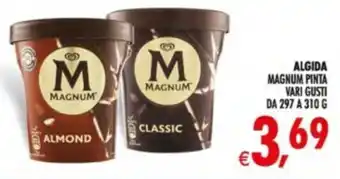 Algida magnum pinta