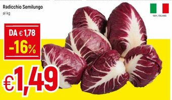 Famila Radicchio Semilungo offerta