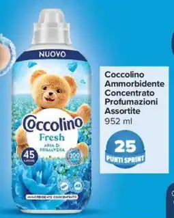 Carrefour Express Coccolino Ammorbidente Concentrato Profumazioni offerta