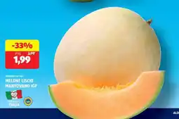 ALDI MELONE LISCIO MANTOVANO IGP offerta