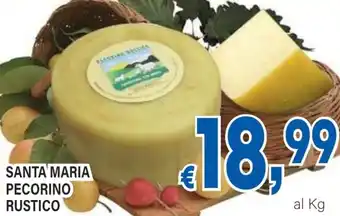 DEM Santa maria pecorino rustico offerta