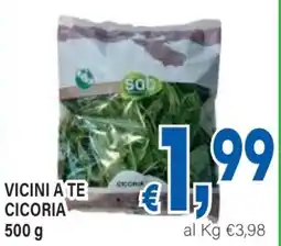 DEM Vicini a te cicoria offerta