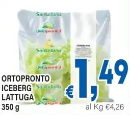 DEM Ortopronto iceberg lattuga offerta
