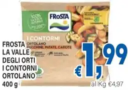 DEM Frosta la valle degli orti i contorni ortolano offerta