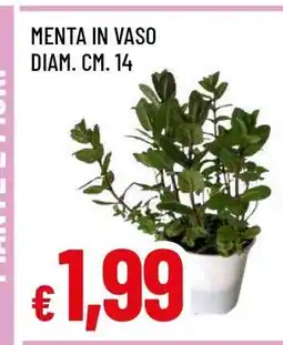 Famila MENTA IN VASO offerta