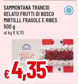 Famila SAMMONTANA TRANCIO GELATO FRUTTI DI BOSCO MIRTILLI, FRAGOLE E RIBES offerta