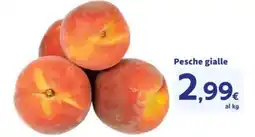 Sigma Pesche gialle offerta