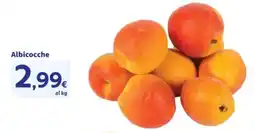 Sigma Albicocche offerta