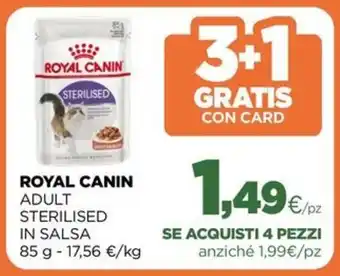 Royal canin adult sterilised in salsa