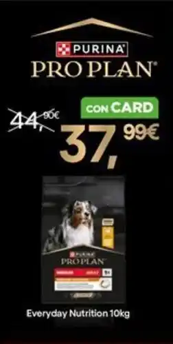 L´Isola dei Tesori Purina everyday nutrition offerta