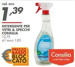 Italmark Detergente per vetri & specchi consilia offerta