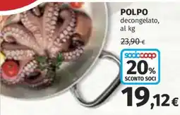 Ipercoop Polpo decongelato offerta