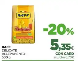 L´Isola dei Tesori Raff delicate allevamento offerta