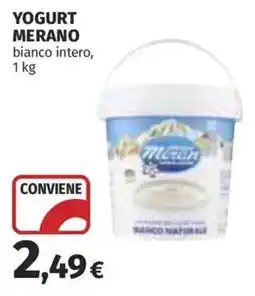 Ipercoop Yogurt Merano offerta