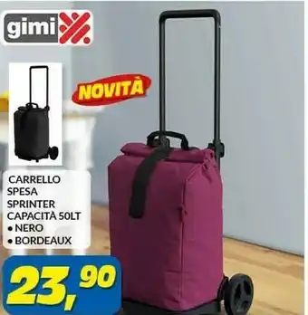 Risparmio Casa Carrello spesa sprinter capacita offerta
