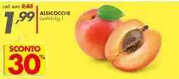 Italmark Albicocche offerta