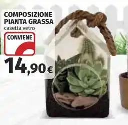 Ipercoop Composizione pianta grassa offerta