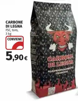 Ipercoop Carbone di legna offerta