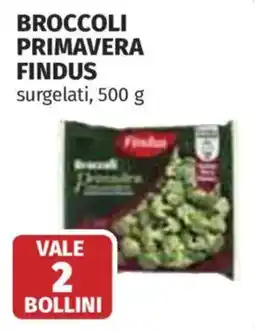 Ipercoop Broccoli primavera findus offerta