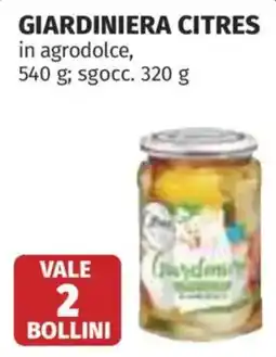 Ipercoop Giardiniera citres offerta