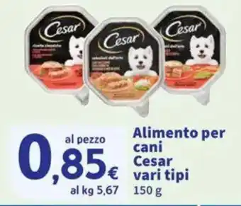 Sigma Alimento per cani Cesar offerta