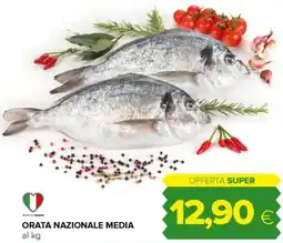 Tigre Orata nazionale media offerta