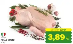 Tigre Pollo busto offerta