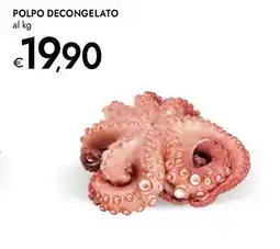 Bennet Polpo decongelato offerta