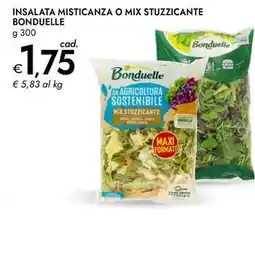 Bennet Insalata misticanza o mix stuzzicante Bonduelle offerta