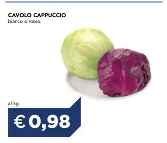 Cavolo Cappuccio