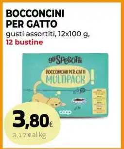 Coop BOCCONCINI PER GATTO offerta