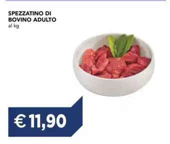 Spezzatino di bovino adulto