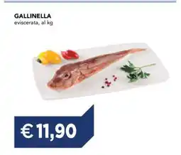 Esselunga GALLINELLA offerta