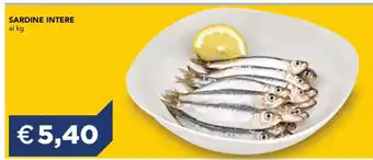 SARDINE INTERE