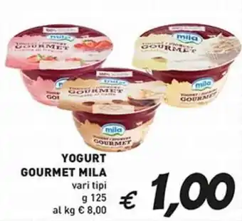 Yogurt gourmet MILA