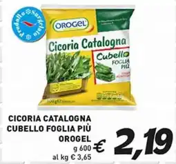 Coal Cicoria catalogna cubello foglia più OROGEL offerta