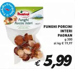 Coal Funghi porcini interi PAGNAN offerta