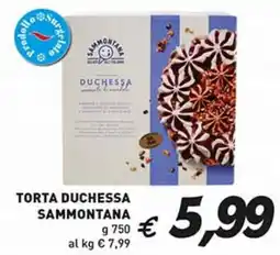 Coal Torta duchessa SAMMONTANA offerta