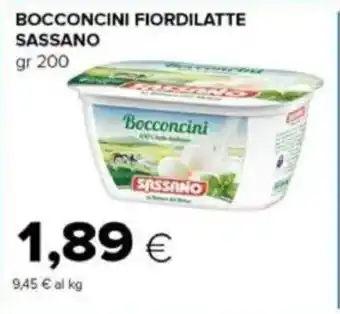Tigre Bocconcini fiordilatte SASSANO offerta