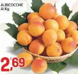 Crai Albicocche offerta