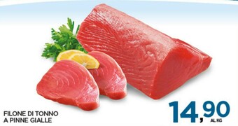 Interspar Tonno offerta