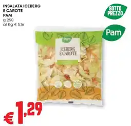 Pam Insalata iceberg e carote Pam offerta