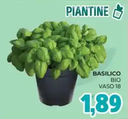 Eté Basilico bio offerta